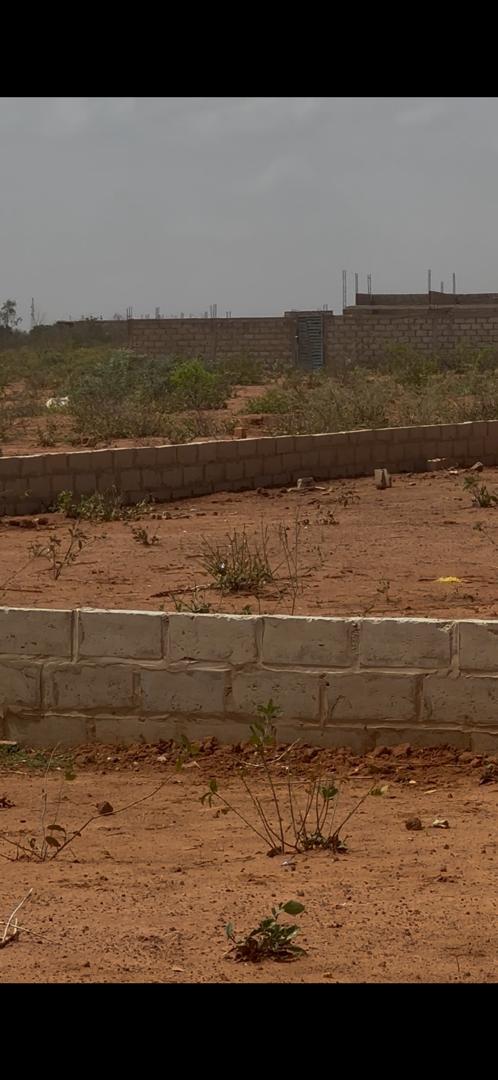 Terrains à vendre à Lélo