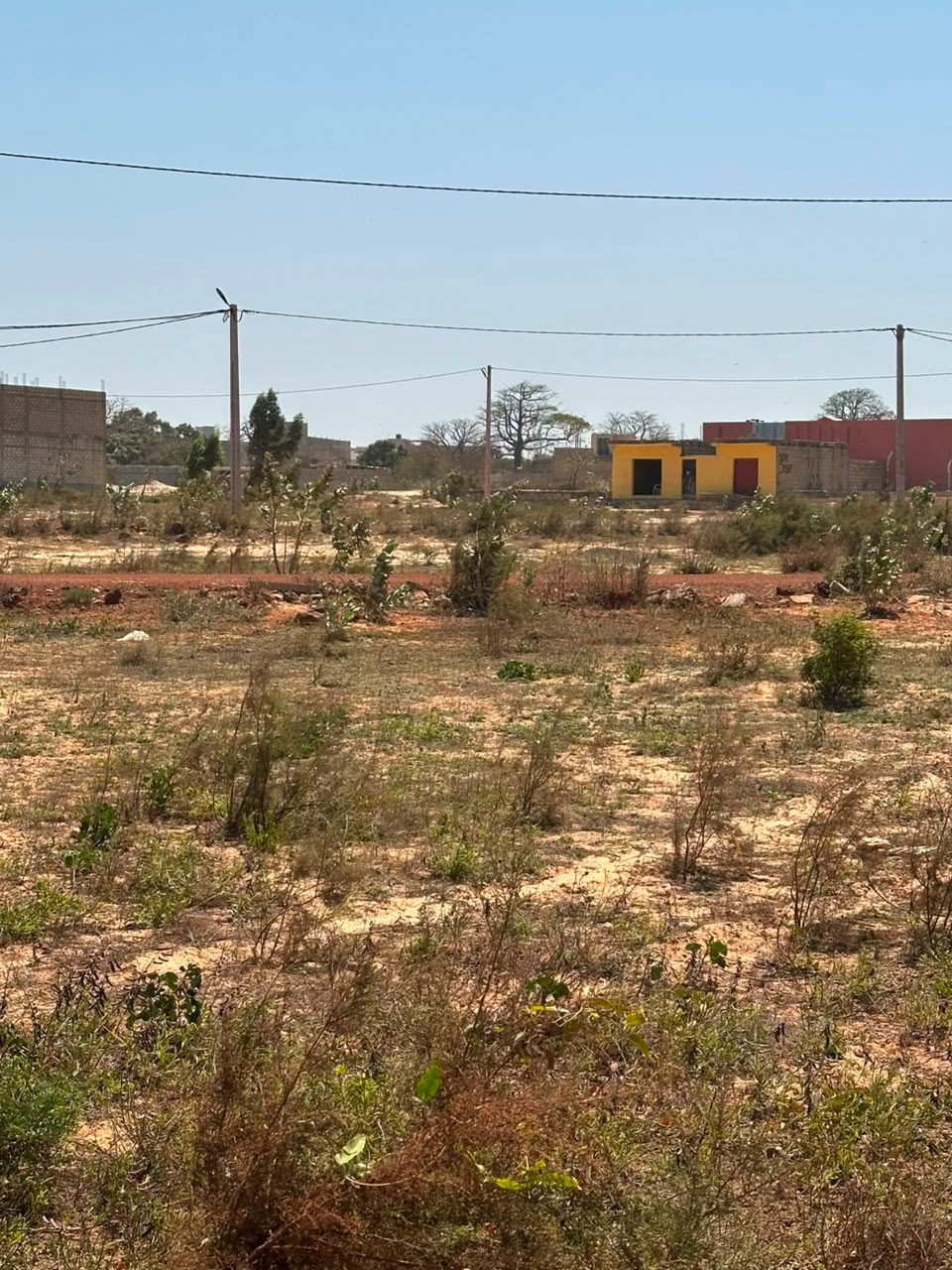 Terrain à vendre à Keur Ndiaye Lo – 157 m²
